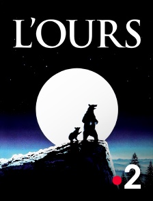 France 2 - L'ours