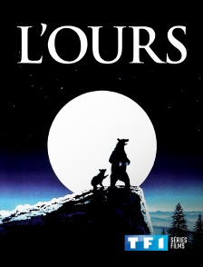 TF1 Séries Films - L'ours