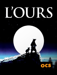 OCS - L'ours