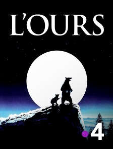 France 4 - L'ours