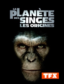 La planète des singes : les origines