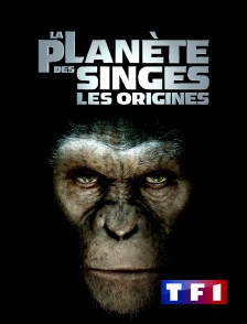 TF1 - La planète des singes : les origines