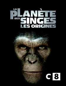 C8 - La planète des singes : les origines