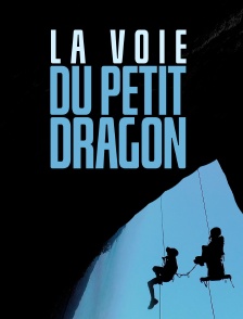 La voie du petit dragon
