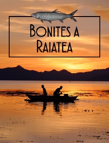 Bonites à Raiatea