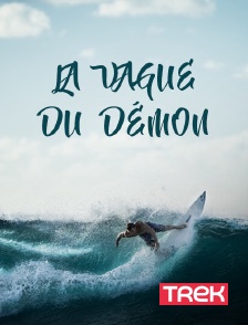 Trek - La vague du démon