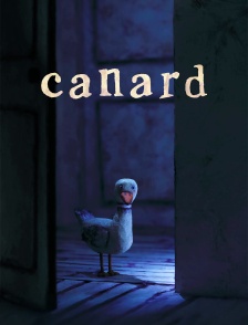 Canard