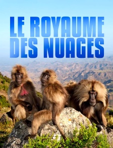 Le royaume des nuages