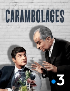 France 3 - Carambolages