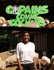 Copains comme cochons