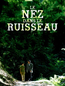 Le nez dans le ruisseau