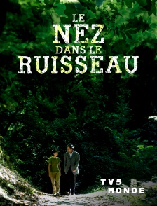 TV5MONDE - Le nez dans le ruisseau