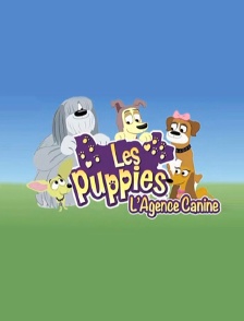 Les Puppies, l'agence canine