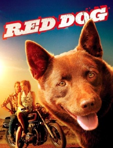 Red Dog