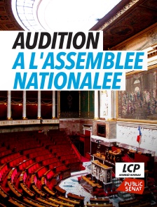 Audition à l'Assemblée nationale