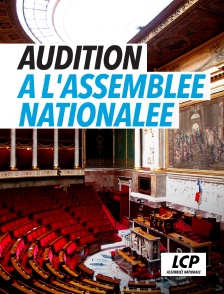 LCP 100% - Audition à l'Assemblée nationale