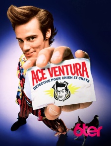 6ter - Ace Ventura, détective pour chiens et chats