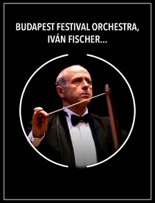 Budapest Festival Orchestra, Iván Fischer, Nicolas Namoradze : Brahms