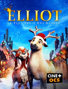 CINÉ Cinéma - Elliot, le plus petit des rennes en replay