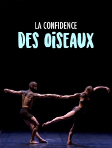 La Confidence des oiseaux