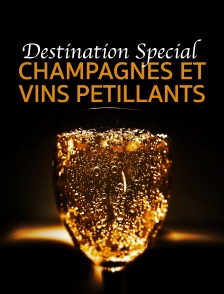 Destination Special : Champagnes Et Vins Petillants