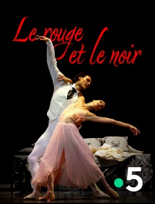 France 5 - Le Rouge et le Noir