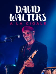 David Walters à La Cigale