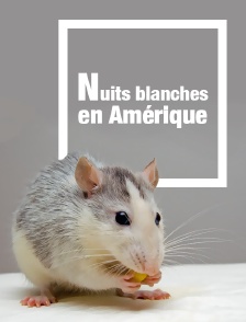 Nuits blanches en Amérique