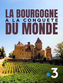 France 3 - La Bourgogne à la conquête du monde