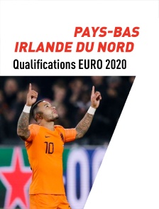 Football - Qualifications EURO 2020 : Pays-Bas / Irlande du Nord