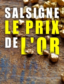 Salsigne : le prix de l'or