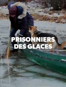 Prisonniers des glaces
