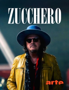 Arte - Zucchero : Une vedette italienne