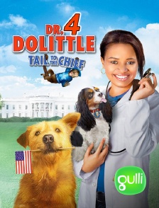 Gulli - Docteur Dolittle 4