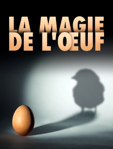 La magie de l'oeuf