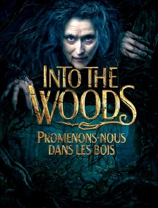 Into the Woods : promenons-nous dans les bois
