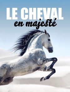 Le cheval en majesté