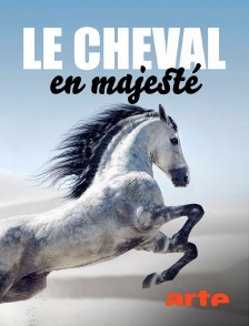 Arte - Le cheval en majesté