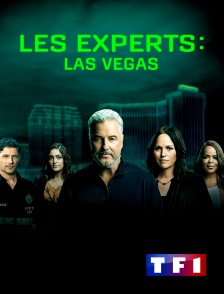 TF1 - Les experts : Las Vegas