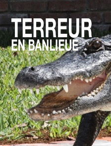 Terreur en banlieue