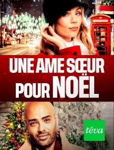 Une âme soeur pour Noël