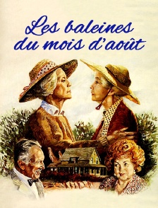 Les baleines du mois d'août