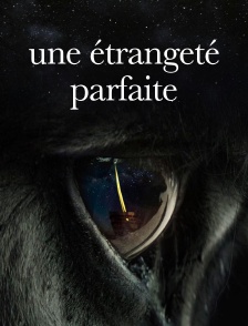 Perfectly A Strangeness (Une étrangeté parfaite)