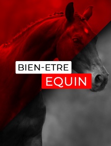Bien-être Equin
