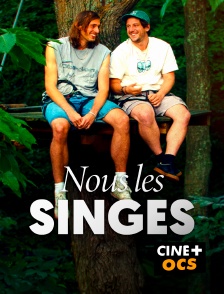 CINÉ Cinéma - Nous les singes en replay