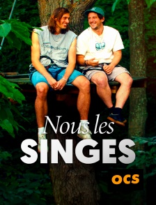 OCS - Nous les singes