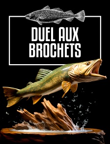 Duel aux brochets en Laponie