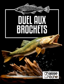 Chasse et pêche - Duel aux brochets en Laponie