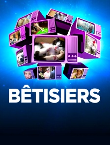 Bêtisiers