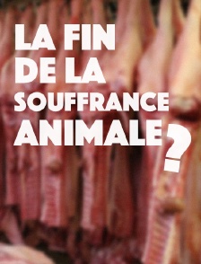 La fin de la souffrance animale ?